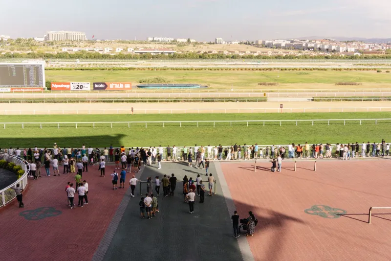 Fading the Public: When Betting Against the Crowd Actually Works (And When It Just Feels Smart)