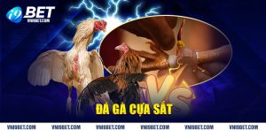 Đá gà cựa sắt