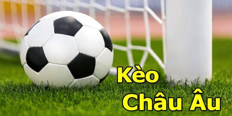 Hiểu rõ kèo giúp nâng tỷ lệ chiến thắng cao hơn Hiểu rõ kèo giúp nâng tỷ lệ chiến thắng cao hơn