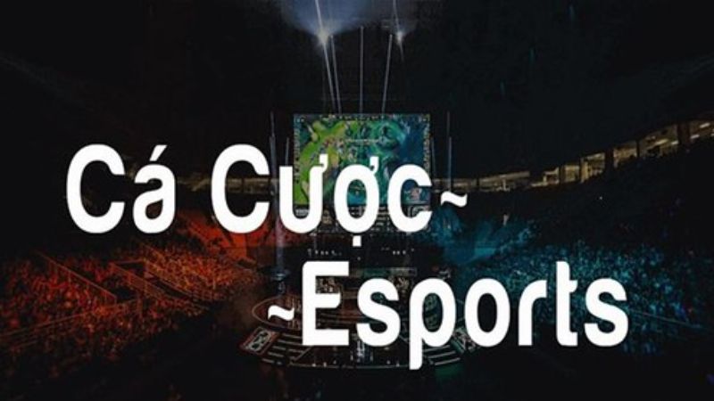 Lý do sảnh Esport I9BET thu hút người chơi